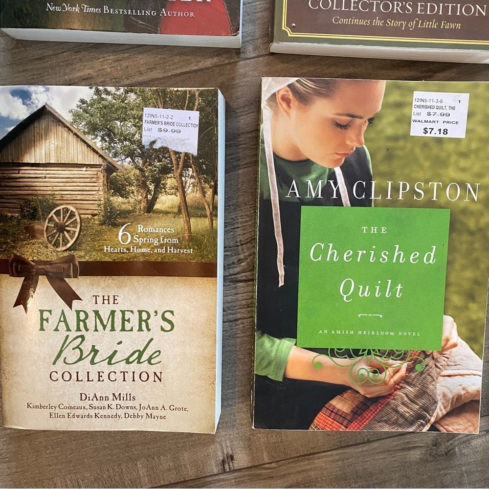 Wanda E Brunstetter Amish Novel Books - Picture 5 of 6